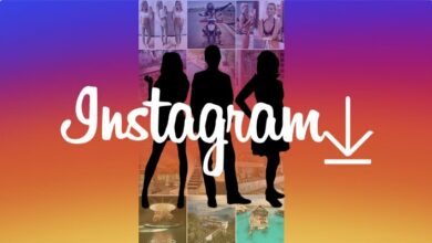 how to download any or all the pictures and videos from any Instagram profile